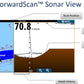 ForwardScan Transducer Only