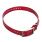 1-inch Collar Strap - Red